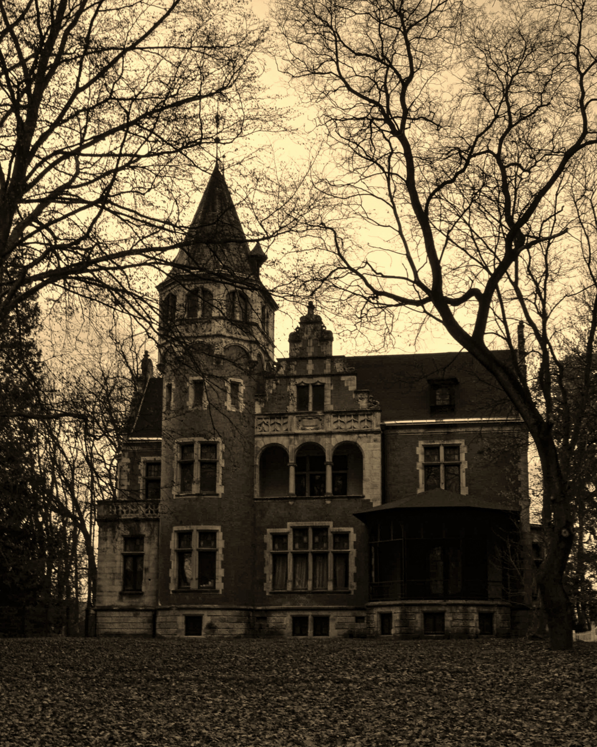 Die verfluchte Villa